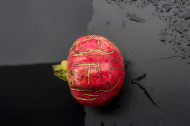 Similar image 21346584