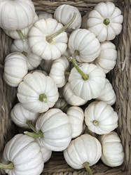 Similar image 21344228