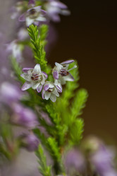 Similar image 21346594