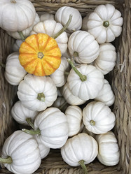 Similar image 21344229