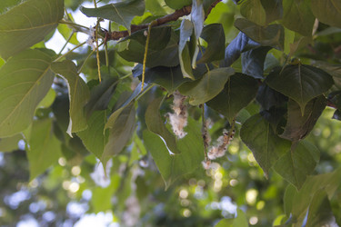 Similar image 21344230