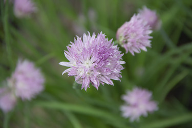 Similar image 21346611