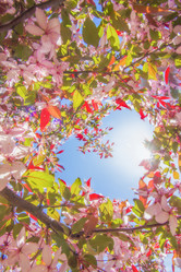 Similar image 21346617