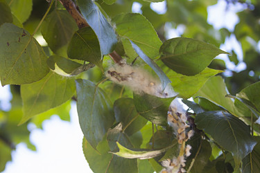 Similar image 21344240