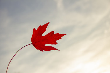 Similar image 21346621