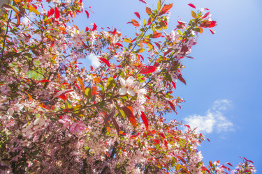 Similar image 21346622