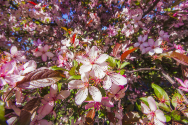 Similar image 21346663