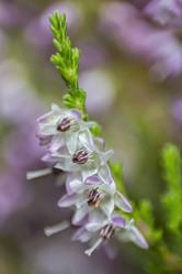 Similar image 21346664