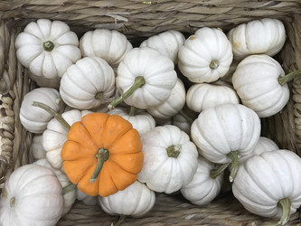 Similar image 21344241