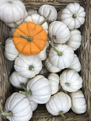 Similar image 21344242