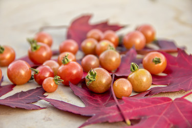 Similar image 21344243