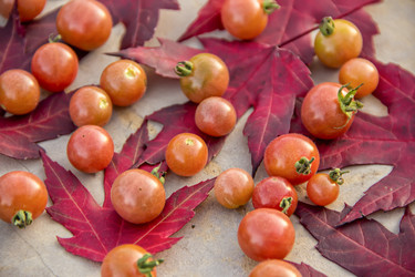 Similar image 21344244