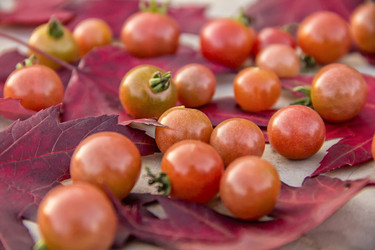 Similar image 21344245