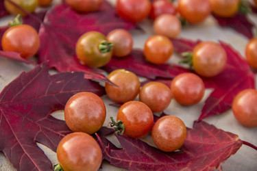 Similar image 21344246