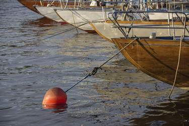 Similar image 21346669