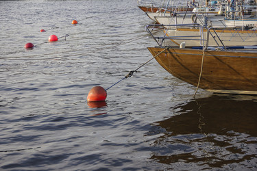 Similar image 21346675