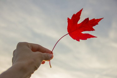 Similar image 21346676