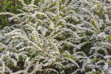 Similar image 21346681