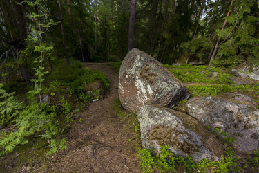 Similar image 21344254