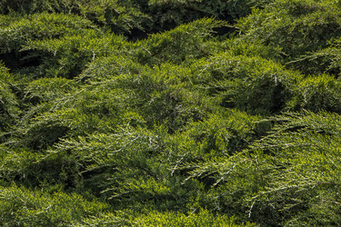 Similar image 21346682