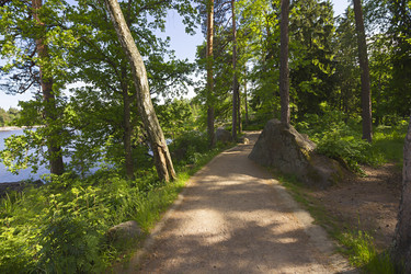 Similar image 21344258