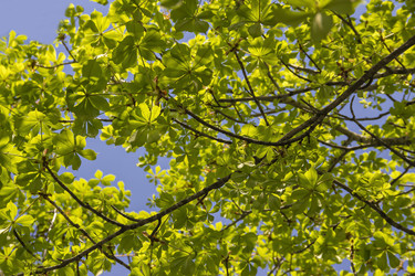 Similar image 21346478