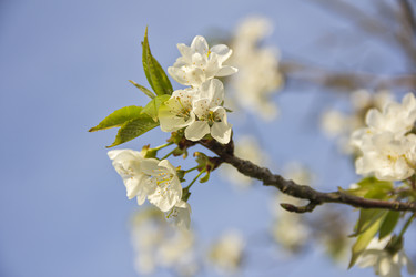 Similar image 21346479