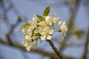 Similar image 21346480