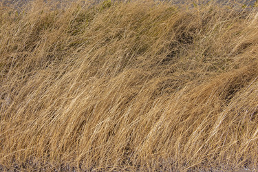 Similar image 21344266