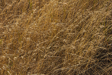 Similar image 21344272