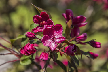 Similar image 21346482