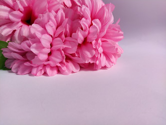 Similar image 21374251