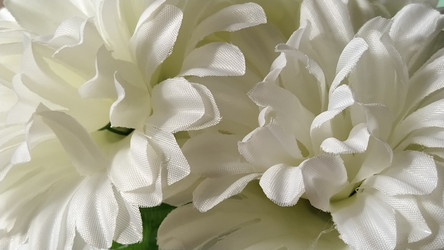 Similar image 21374262