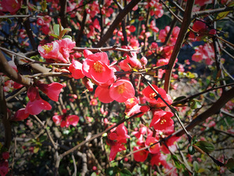 Similar image 21374266