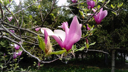 Similar image 21374552