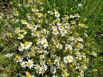 Similar image 21374557