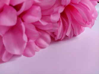 Similar image 21374561