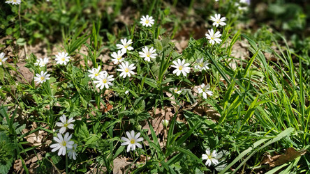 Similar image 21375168