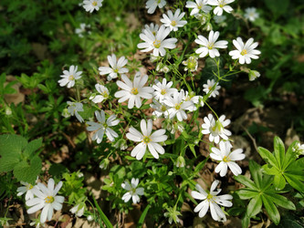 Similar image 21375170