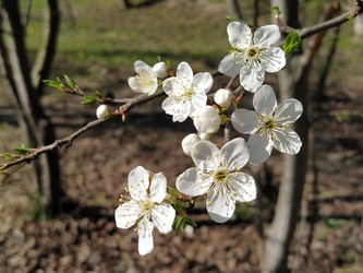 Similar image 21375171