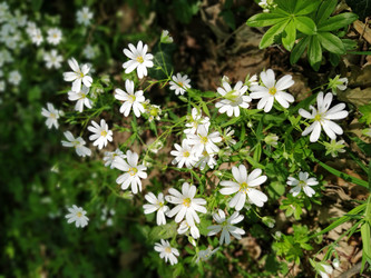 Similar image 21375174