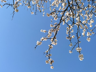 Similar image 21375175