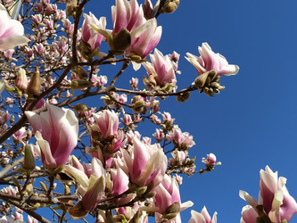 Similar image 21375177