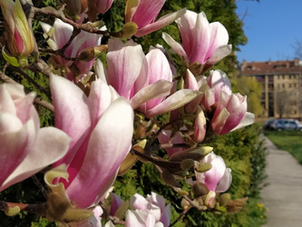 Similar image 21375379