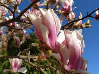 Similar image 21375382