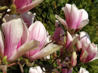 Similar image 21375383