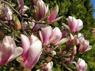 Similar image 21375386