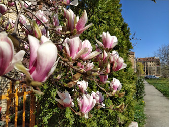 Similar image 21375387