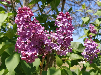 Similar image 21375389