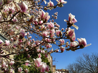 Similar image 21375391